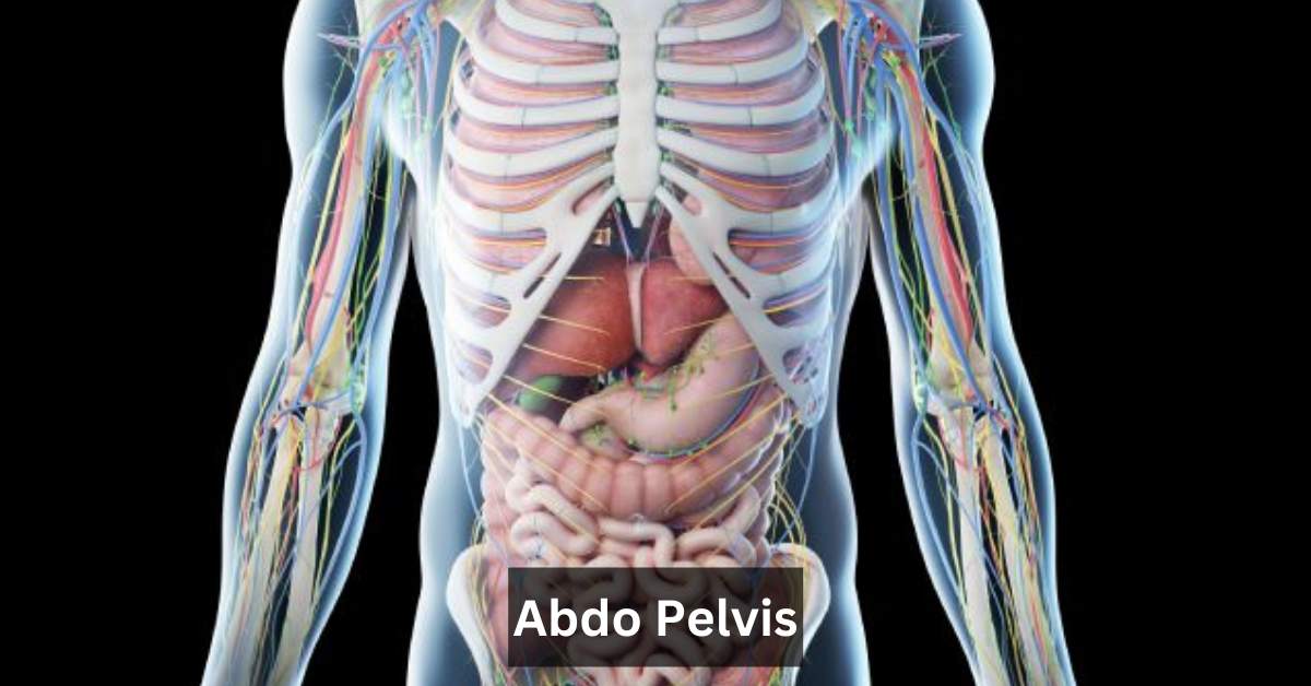 Abdo Pelvis