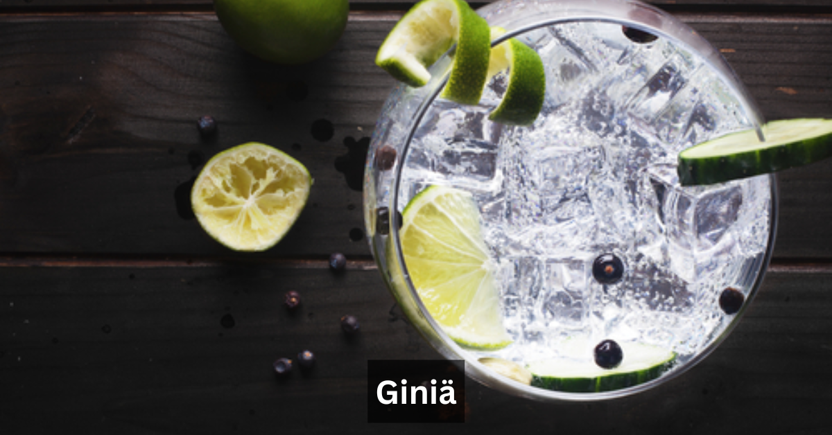 Giniä