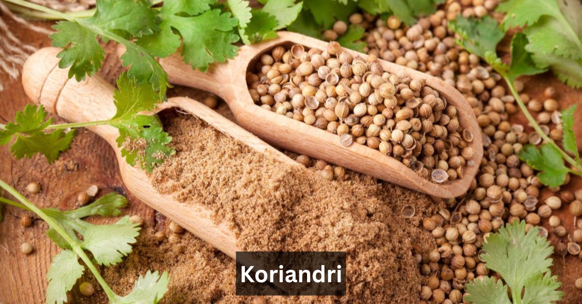 Koriandri