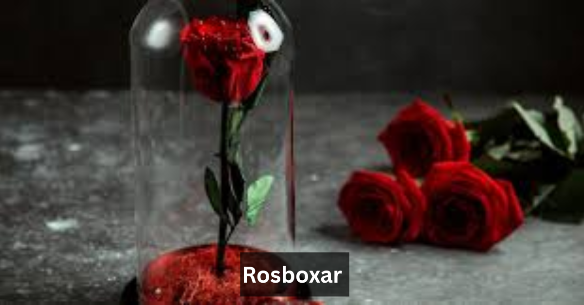 Rosboxar